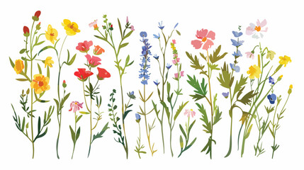 Beautiful wildflowers painted in hand translated into - obrazy, fototapety, plakaty