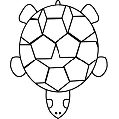 Obraz premium ,animal,turtle,sea,aquatic animal, 