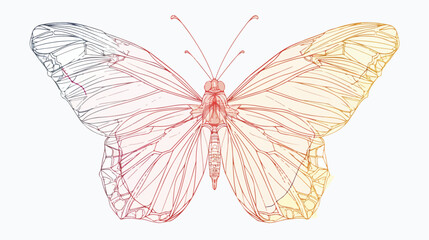 Butterfly line art. Continuous line drawing style