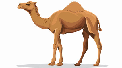 Camel Animal Cartoon Vector Illustration Flat vector