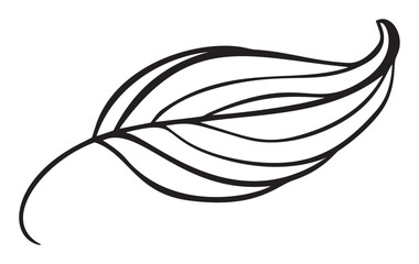 Vector Abstract Leaf line Icon. Vintage Minimal Style Illustration for kids book design or web, logo eco product