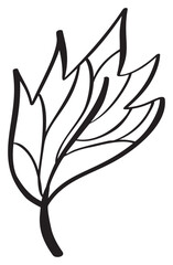 Vector Abstract autumn Leaf line Icon. Vintage Minimal Style Illustration for kids book design or web, logo eco product