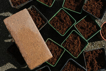 Dry coco peat brick, placed on seedling pots filled with rehydrated coco peat.