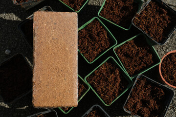 Dry coco peat brick, placed on seedling pots filled with rehydrated coco peat.