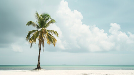 Towering palm tree standing tall on a pristine sandy beach.