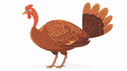 Fototapeta na wymiar Turkey isolated on white Thanksgiving turkey flat Vector