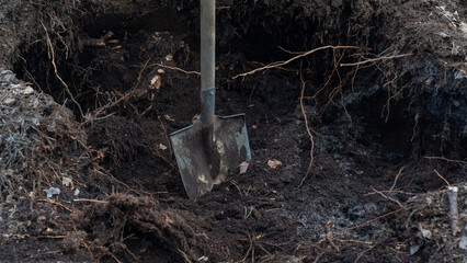 Bayonet shovel in peat soil , peat bog in forest is good source of fertilizer for garden.