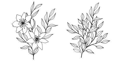 vector contour branch flowers and leaves compositions. Elegant art for decoration. hand drawn monochrome botanical illustration for backgrounds. Template for wedding cards and polygraph, logo, tattoo.