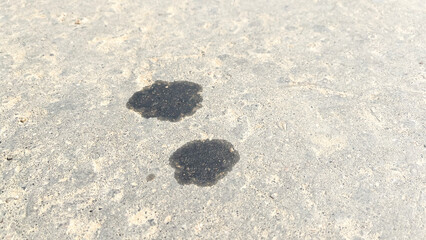 Oil slick on asphalt after car, A breakdown in the engine of the car led to a leak of engine oil on the road.