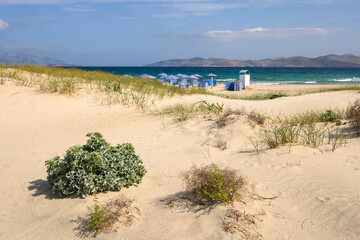 Marmari beach with golden sand and turquoise water. Kos island, Greece