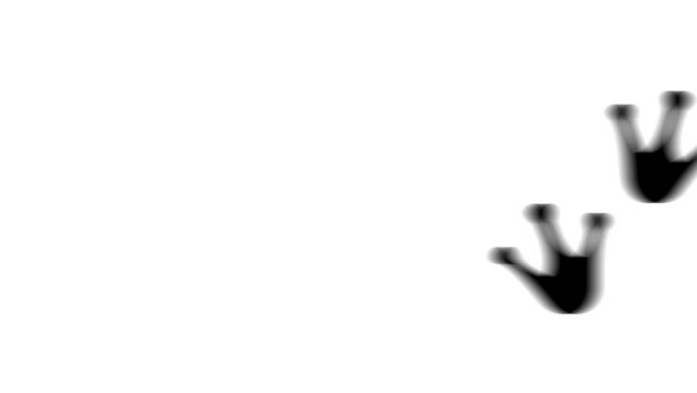 Animation set, frog tracks symbol. Animations: transparency, zooms, transition top to down, transition left to right, slide up to down, slide left to right