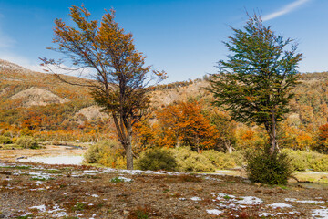 Fototapeta premium Tierra del Fuego National Park, Patagonia, Argentina
