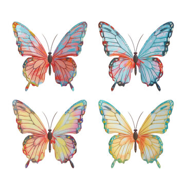 Four different butterflies with colorful wings