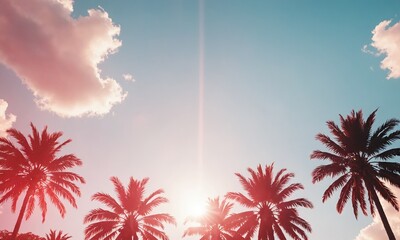 Sunlight summer vibe pink tint colors, california sky with palms, summer postcard - obrazy, fototapety, plakaty