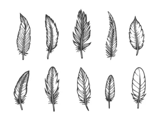 Papier peint Plumes Vector illustration of doodle drawn feathers. Set on white background, isolate. Black line bird feathers, elements for design