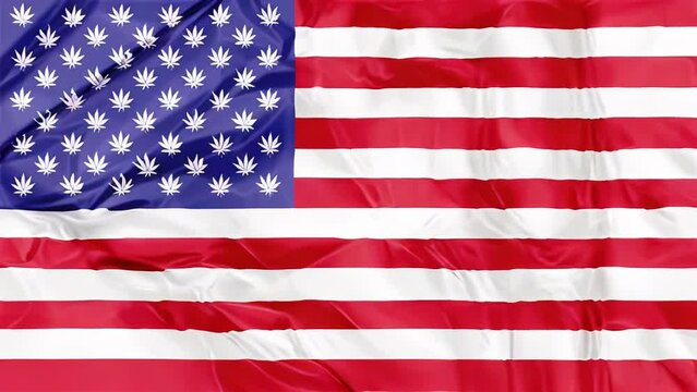 The national United States flag with Marijuana leafs inside, illustration background. concept for legalization in USA.
