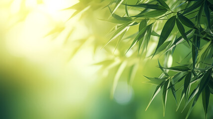 Blurred abstract sunlight background, frame of bright green bamboo leaves isolated on copy space