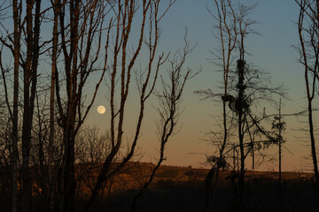 Le charme de la pleine lune sur les collines du Massif Central, à Paulhenc, Aveyron, Occitanie,...