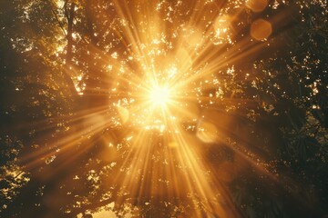 zoom lens and golden light burst among trees