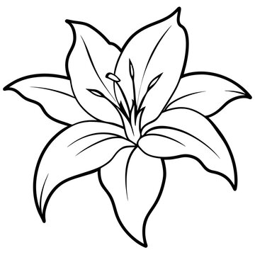 black and white flower -  vector illustration