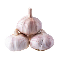 Close up raw garlic isolated on a transparent background