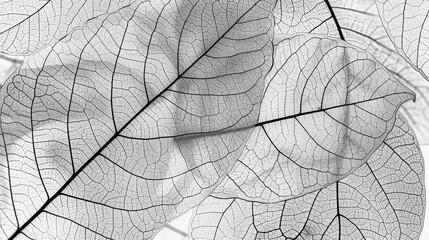 Macro leaves texture. Generative AI