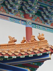 here is a person on the eaves of Asia, Asia, and China, and several animals that follow on the roof