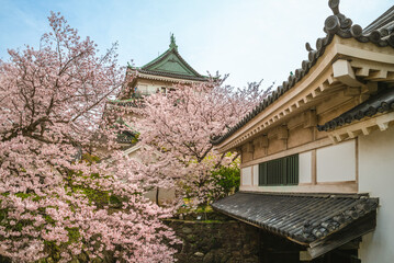 Obraz premium Wakayama Castle, a Japanese castle located in Wakayama city, Wakayama Prefecture, Japan.