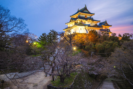 Wakayama Castle, a Japanese castle located in Wakayama city, Wakayama Prefecture, Japan.