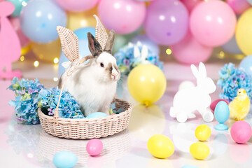 White Easter bunny in a basket of hydrangea flowers against a background of colorful balls in pastel colors