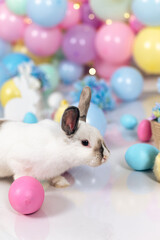 White Easter bunny on a stool and hydrangea flowers against a background of multi-colored balls in pastel colors. Decor