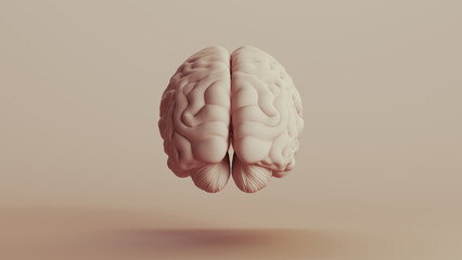 Brain human anatomy mind neutral backgrounds soft tones beige brown background rear view 3d illustration render digital rendering - obrazy, fototapety, plakaty
