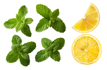 Set wit Fresh lemon slices and peppermint leaves isolated on transparent background. Cooking ingredients and medicinal plants.
 - obrazy, fototapety, plakaty