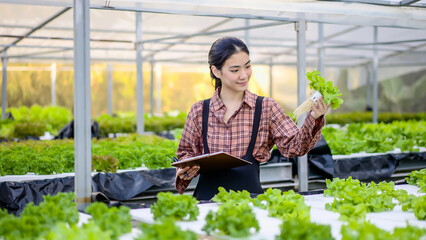 Young asian woman farmer or inspection of plant growth in greenhouse or sustainability in quality control, clipboard or notes on lettuce production or feedback on hydroponic agriculture system