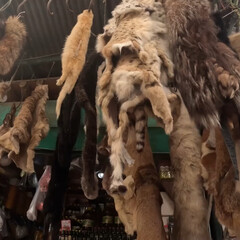 animal skins in the market 