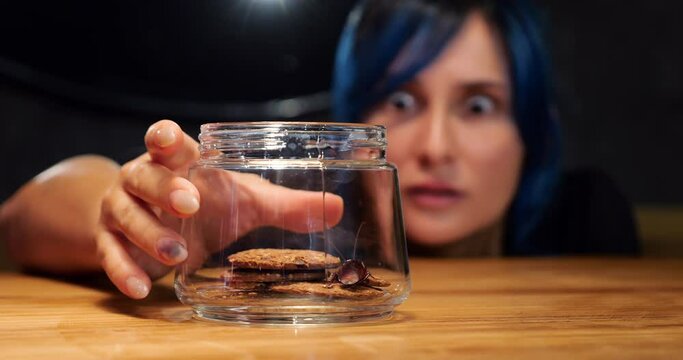 Young woman looks at huge cockroach sitting on cookies in glass jar with surprise and disgust, take container and turn slightly. Macro shot, focus on glass jar with insect, woman face on background