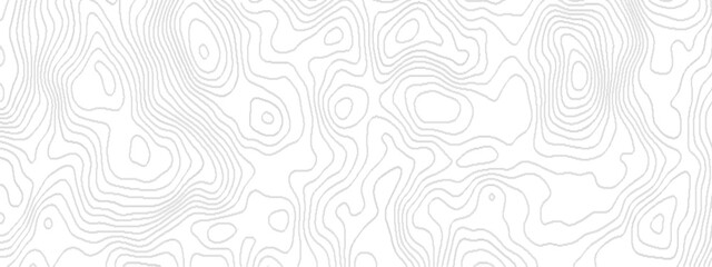 White wave paper curved reliefs abstract geometric topography, Abstract topographic contours map background geography scheme, Black and white geometric lines seamless Topographic map.