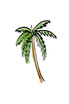A hand-drawn illustration of a palm tree on a white background, in a sketchy artistic style, symbolizing tropical and beach concepts