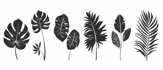 Set of hand drawn tropical leaves black white line art and silhouette moderns. Great for print, logos, branding, and web design.
