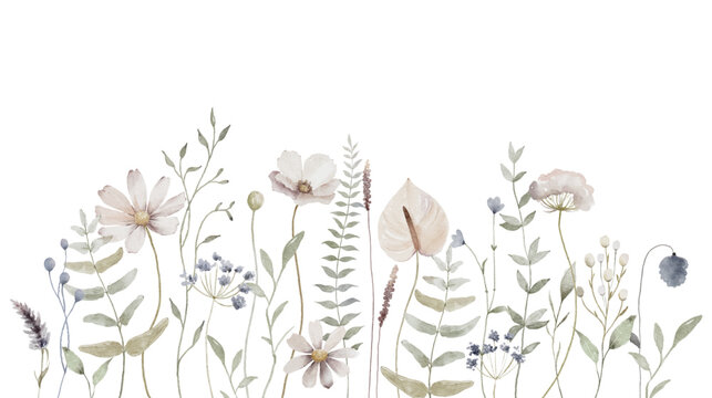 Watercolor floral background. Hand painted wildflowers, meadow flowers, isolated on white background