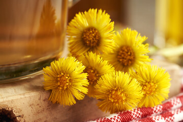 Closeup of fresh coltsfoot or Tussilago flowers with a cup of herbal tea in the background - obrazy, fototapety, plakaty