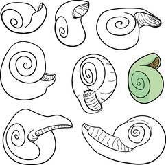Cartoon sea or ocean shells. One of them is painted. Or these are snail houses. - obrazy, fototapety, plakaty
