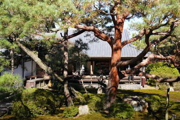 京都の東山区に鎮座する青蓮院門跡