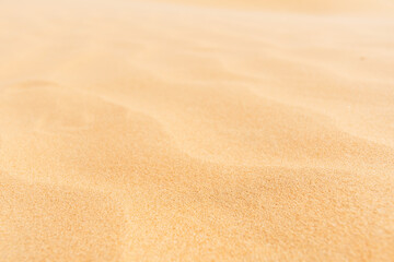 Vivid yellow sand grain texture. Macro closeup sandy waves. Abstract nature backgrounds and patterns