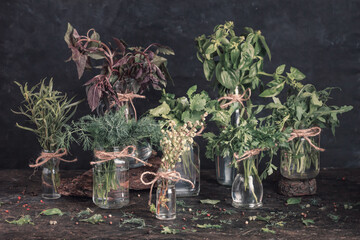 Jars with bunches of green fresh organic garden herbs stand on the table against a dark background....