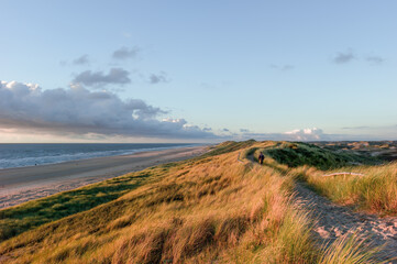 Hike in the dune landscape in Egmond aan Zee