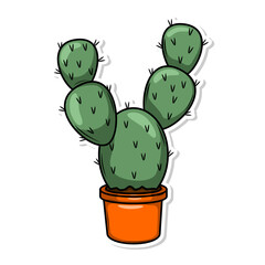 Hand draw cactus plant cartoon flat design