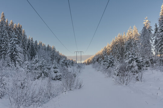 Powerlines and a small countryside road in winter sunlight