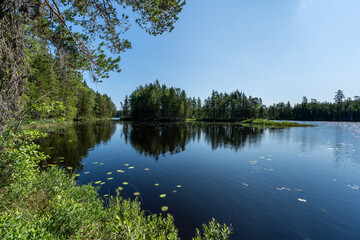 Summer view across a small lake in a lush green forest in Sweden