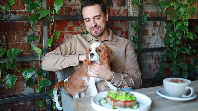 A man pets his dog while sitting in a cafe. dog friendly establishments. Breed Cavalier King Charles Spaniel